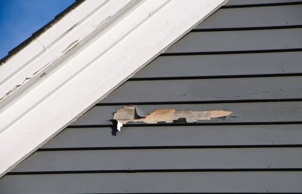 Best Construction Debris Removal  in North Bellport, NY